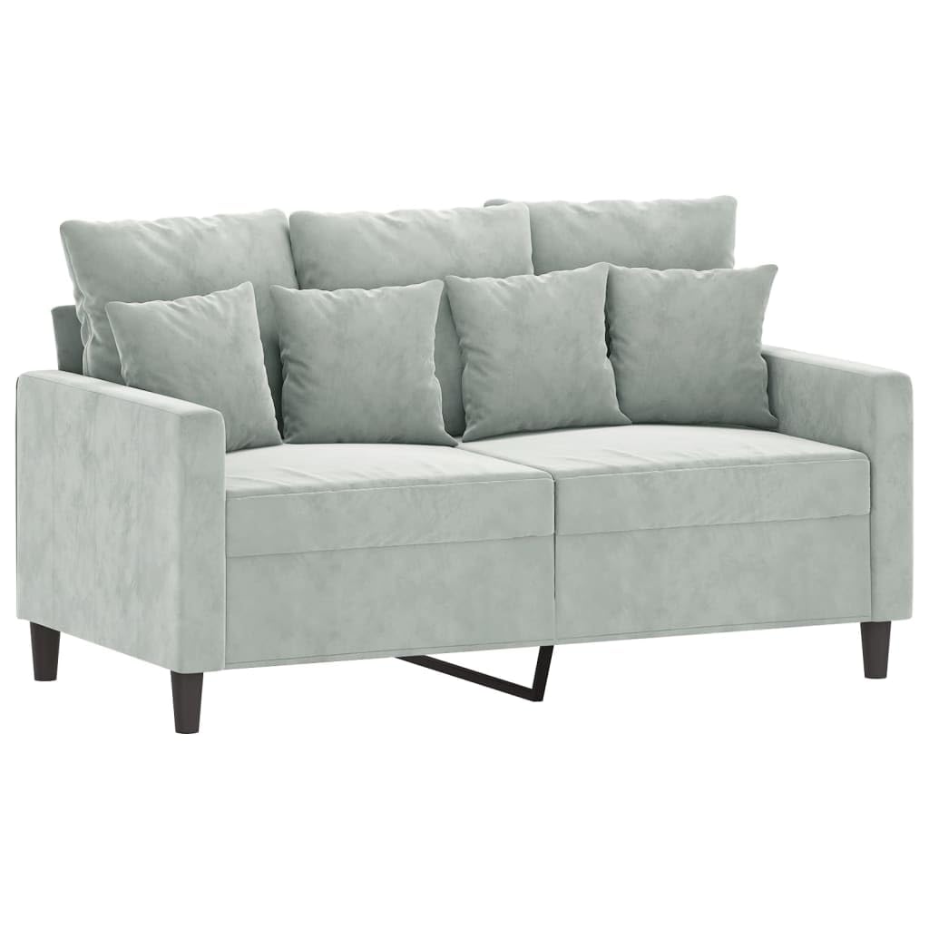 Light Gray Velvet 2 Piece Sofa Set L122
