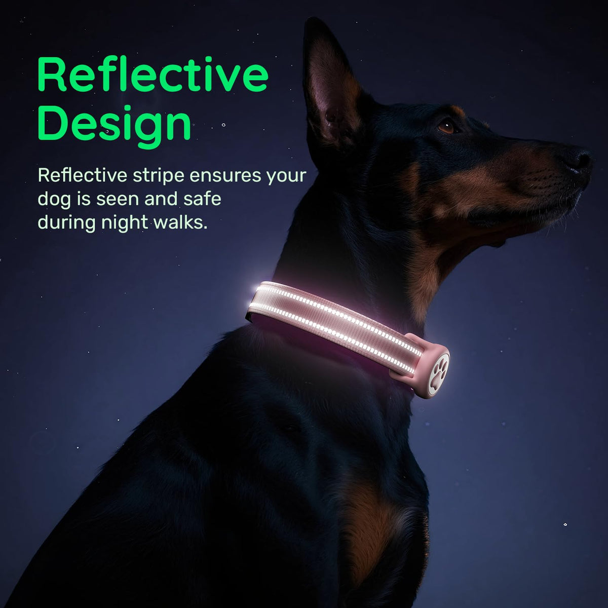 Pink IP68 Waterproof Dog Collar A519