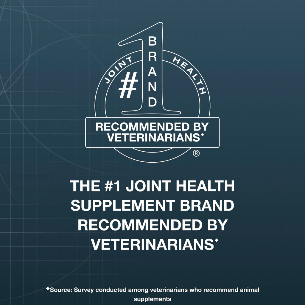 Soft Chews Joint Health Supplement for Large Dogs D196626