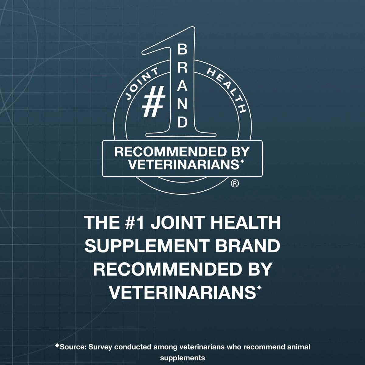 Soft Chews Joint Health Supplement for Large Dogs D196626