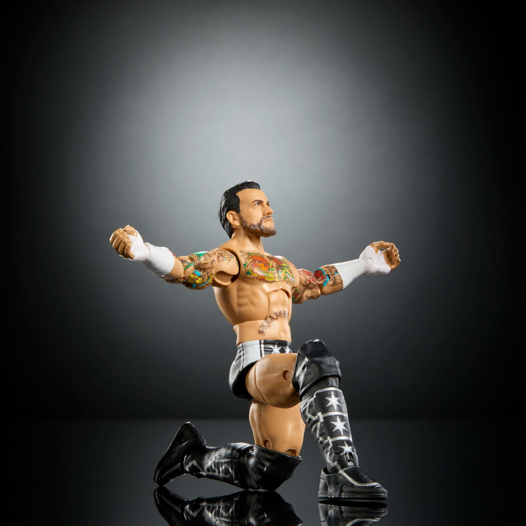 WWE Elite Action Figure & Accessories L934528