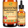 Odorless 500 mg Liposomal Aged Garlic Extract Liquid Drop Y41279