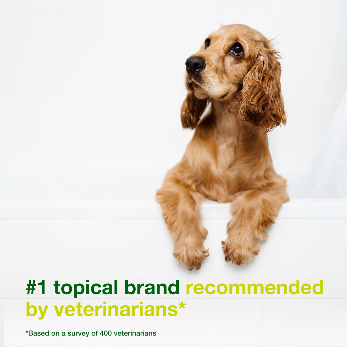 Dog Seboregulating Shampoo 6.7 fl oz N4584
