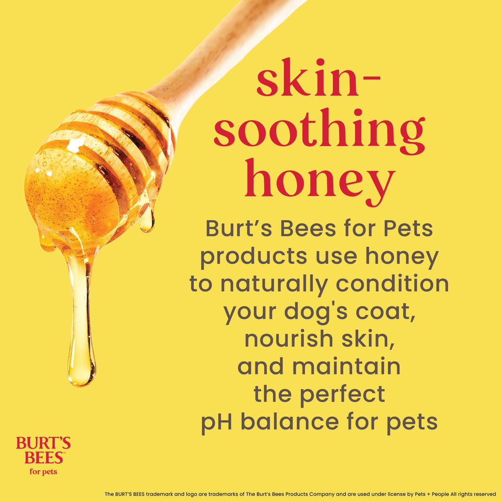 Honeysuckle Dog Shampoo 16 Fl Oz L15756