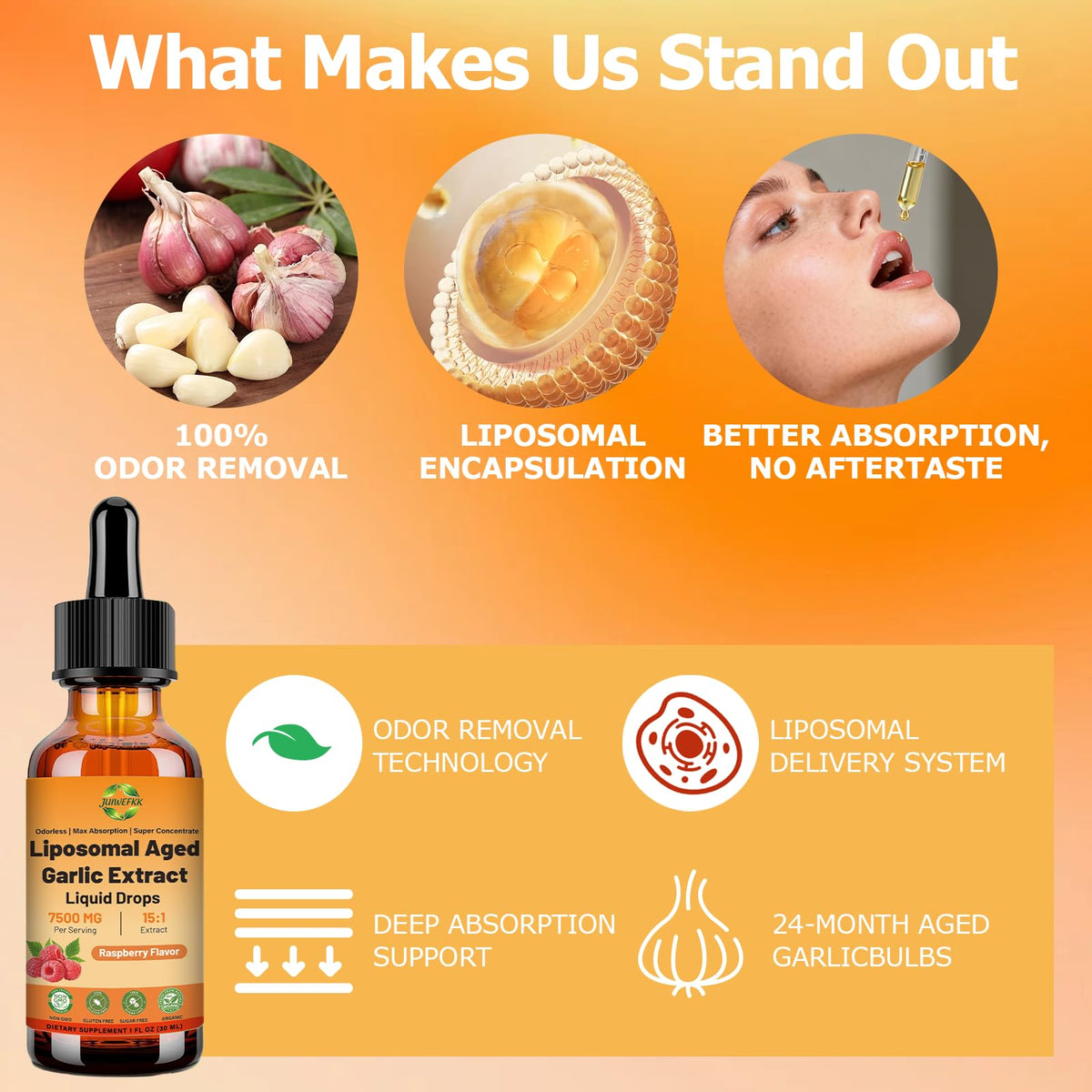 Odorless 500 mg Liposomal Aged Garlic Extract Liquid Drop Y41279