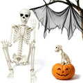 Life Size Posable Skeleton with Dog & Creepy Cloth S3507