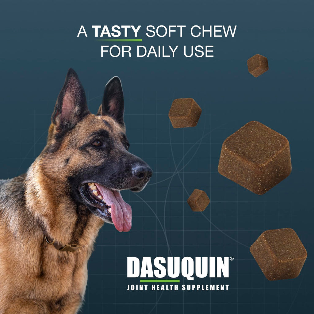 Soft Chews Joint Health Supplement for Large Dogs D196626