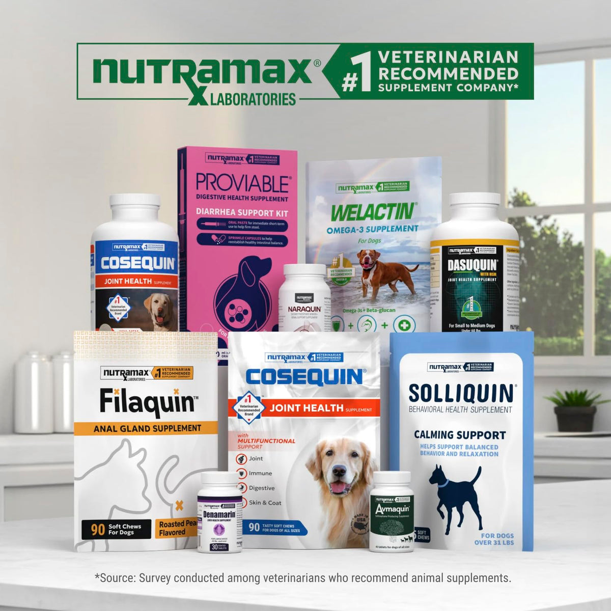 Soft Chews Joint Health Supplement for Large Dogs D196626