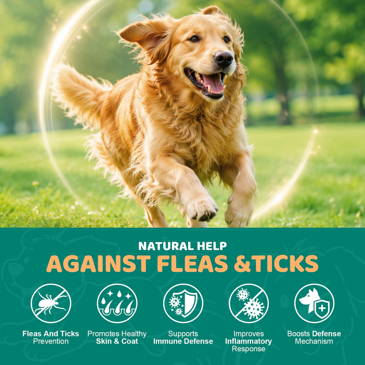 Flea and Tick Chews for Dogs T404