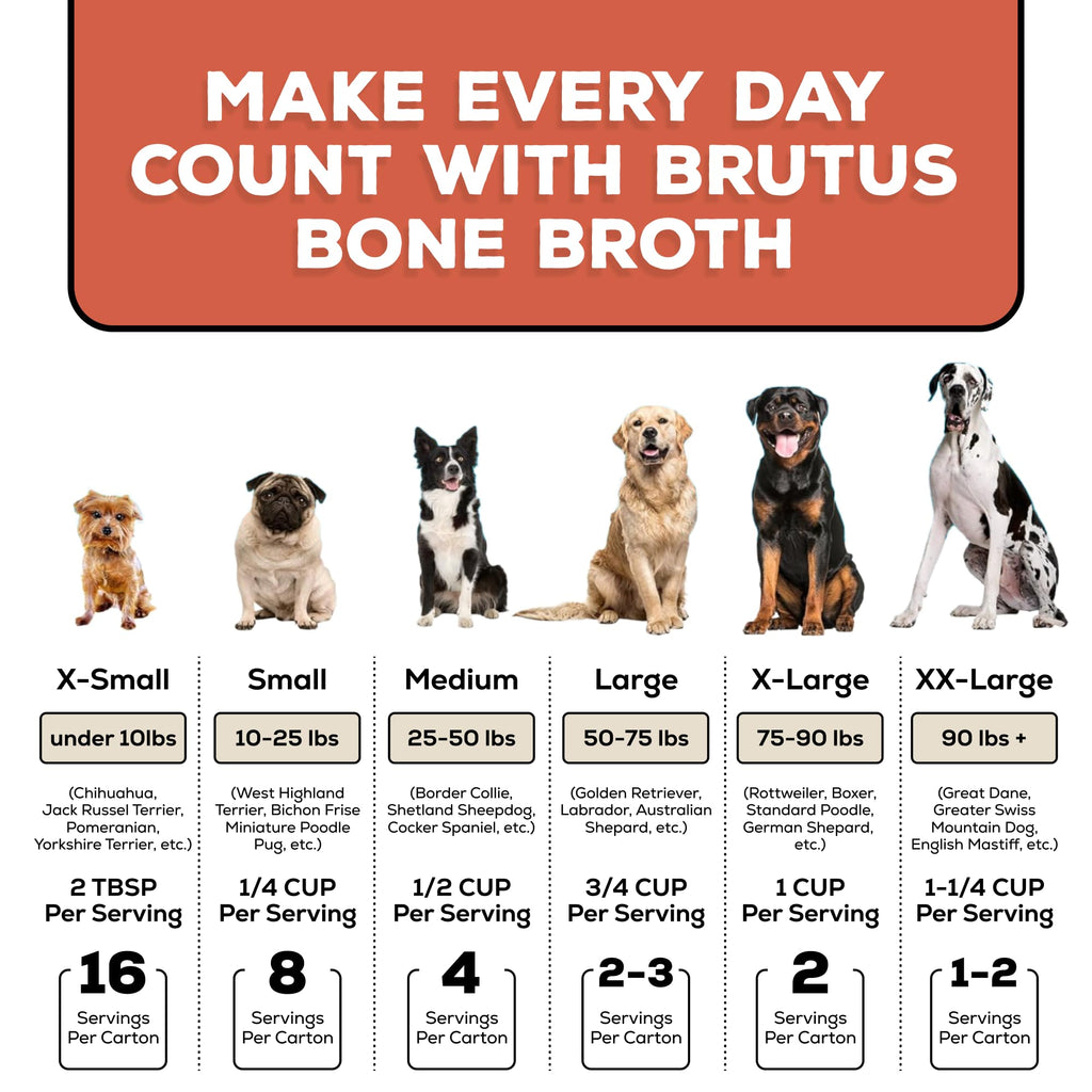Bone Broth for Dogs with Chondroitin Glucosamine Turmeric 16.9oz Pack of 6 L8222