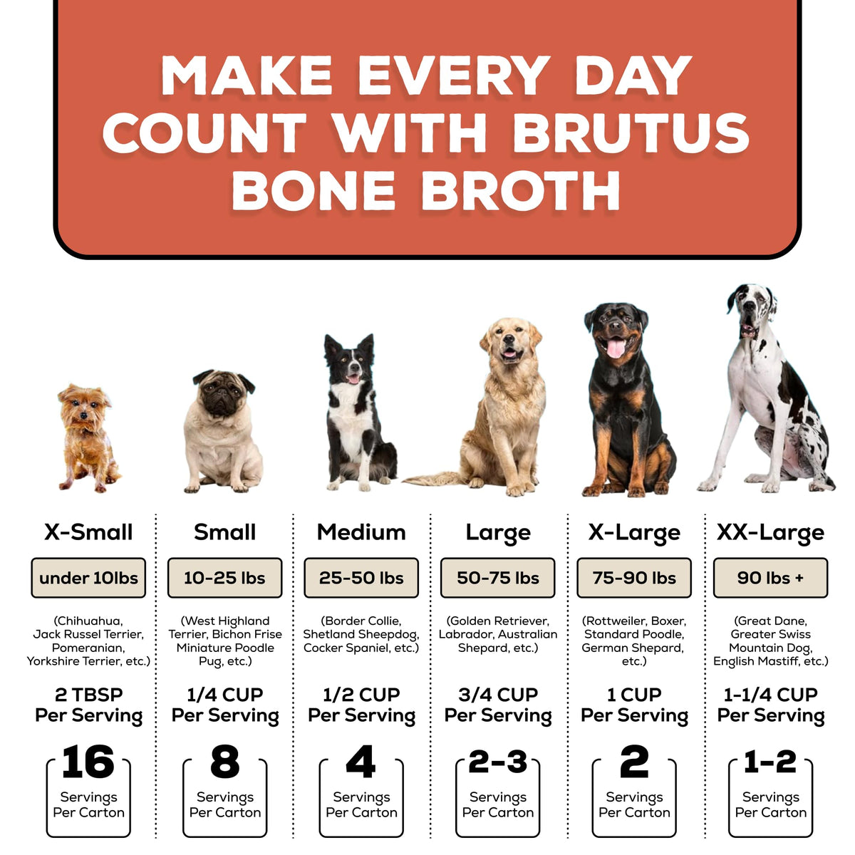 Bone Broth for Dogs with Chondroitin Glucosamine Turmeric 16.9oz Pack of 6 L8222
