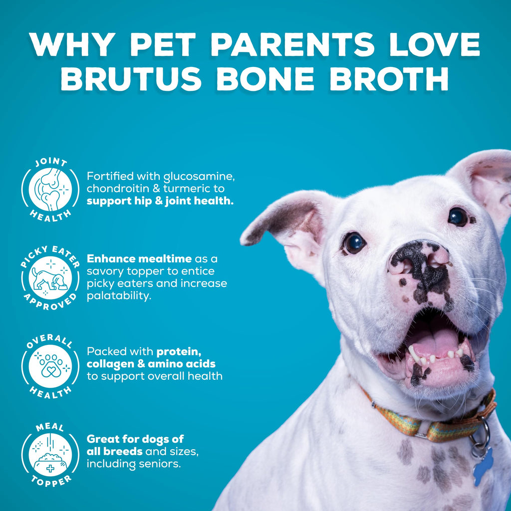 Bone Broth for Dogs with Chondroitin Glucosamine Turmeric 16.9oz Pack of 6 L8222