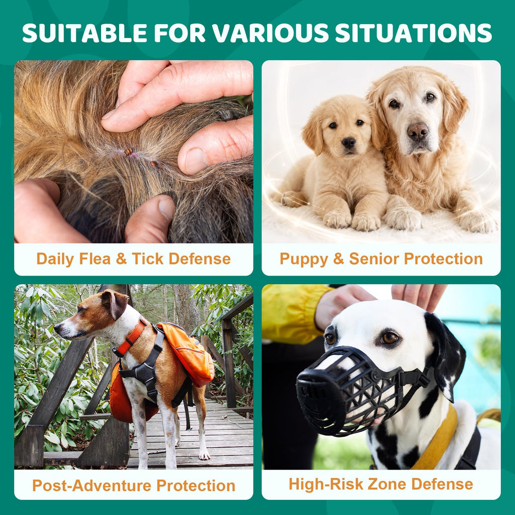 Flea and Tick Chews for Dogs T404
