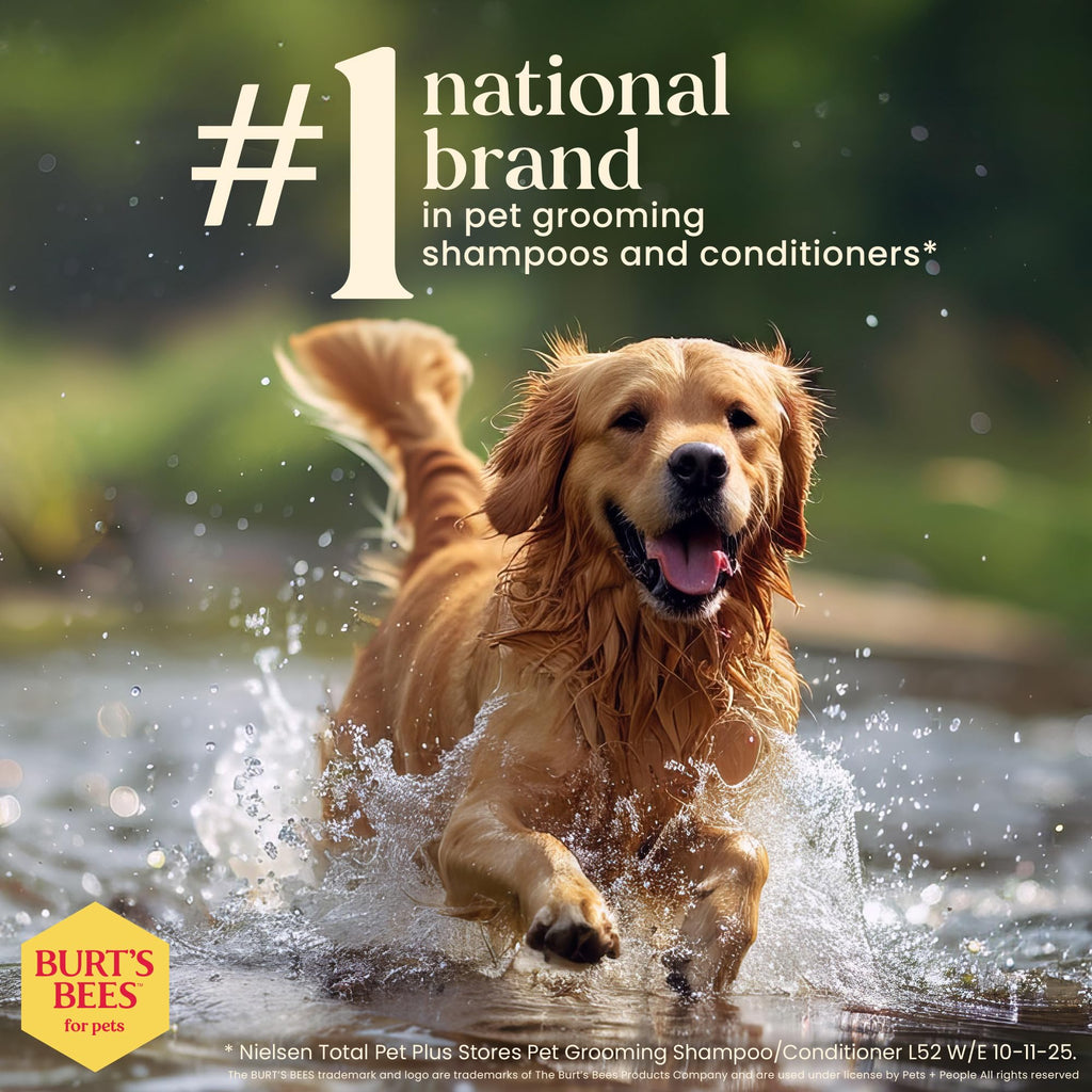 Honeysuckle Dog Shampoo 16 Fl Oz L15756