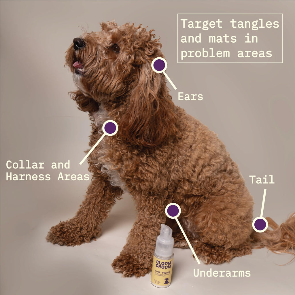 Waterless Dry Shampoo and Detangler for Dogs 1.52 oz H600