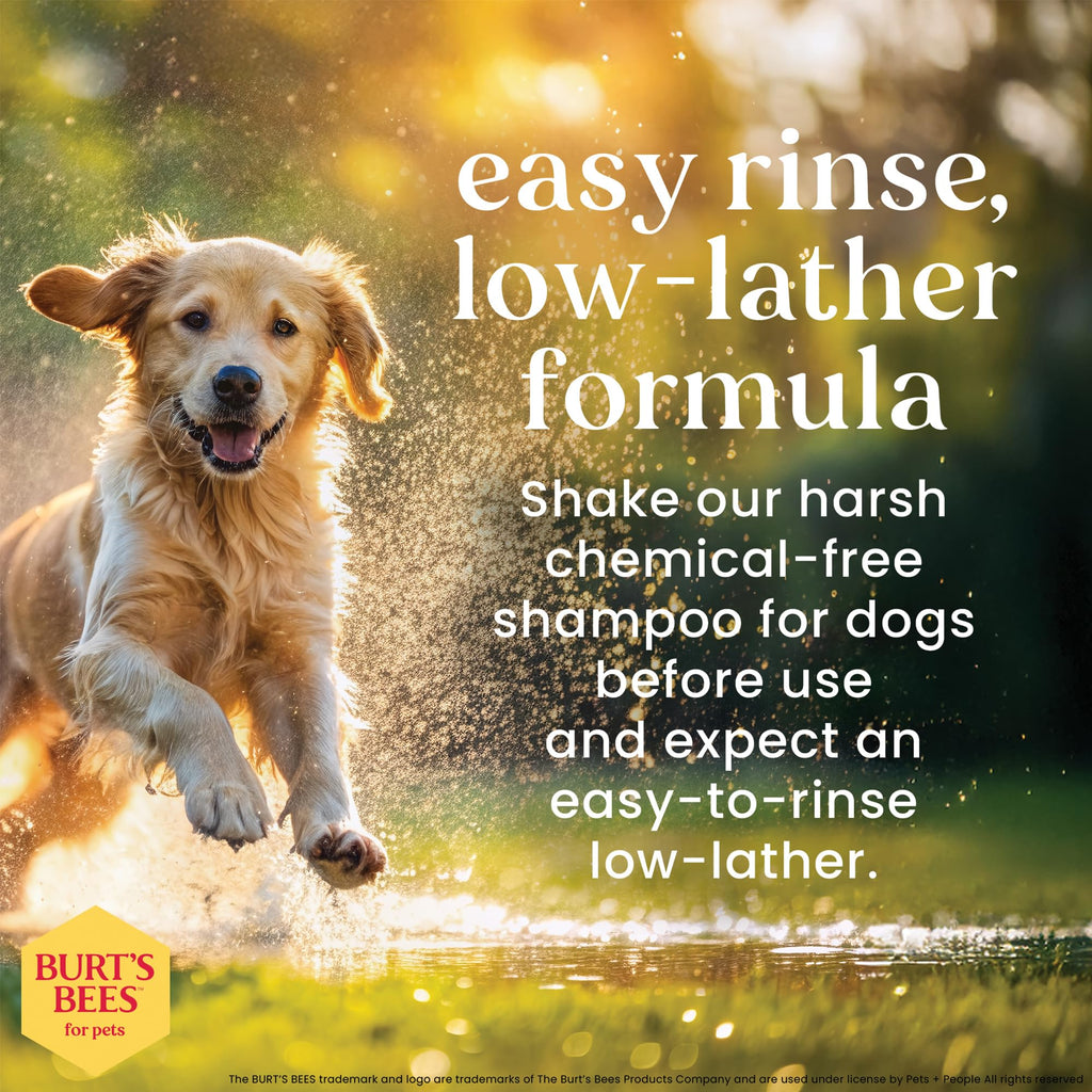 Honeysuckle Dog Shampoo 16 Fl Oz L15756