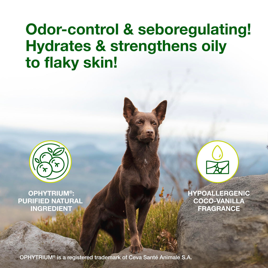 Dog Seboregulating Shampoo 6.7 fl oz N4584