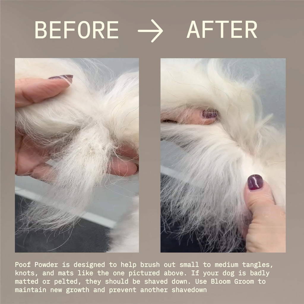 Waterless Dry Shampoo and Detangler for Dogs 1.52 oz H600