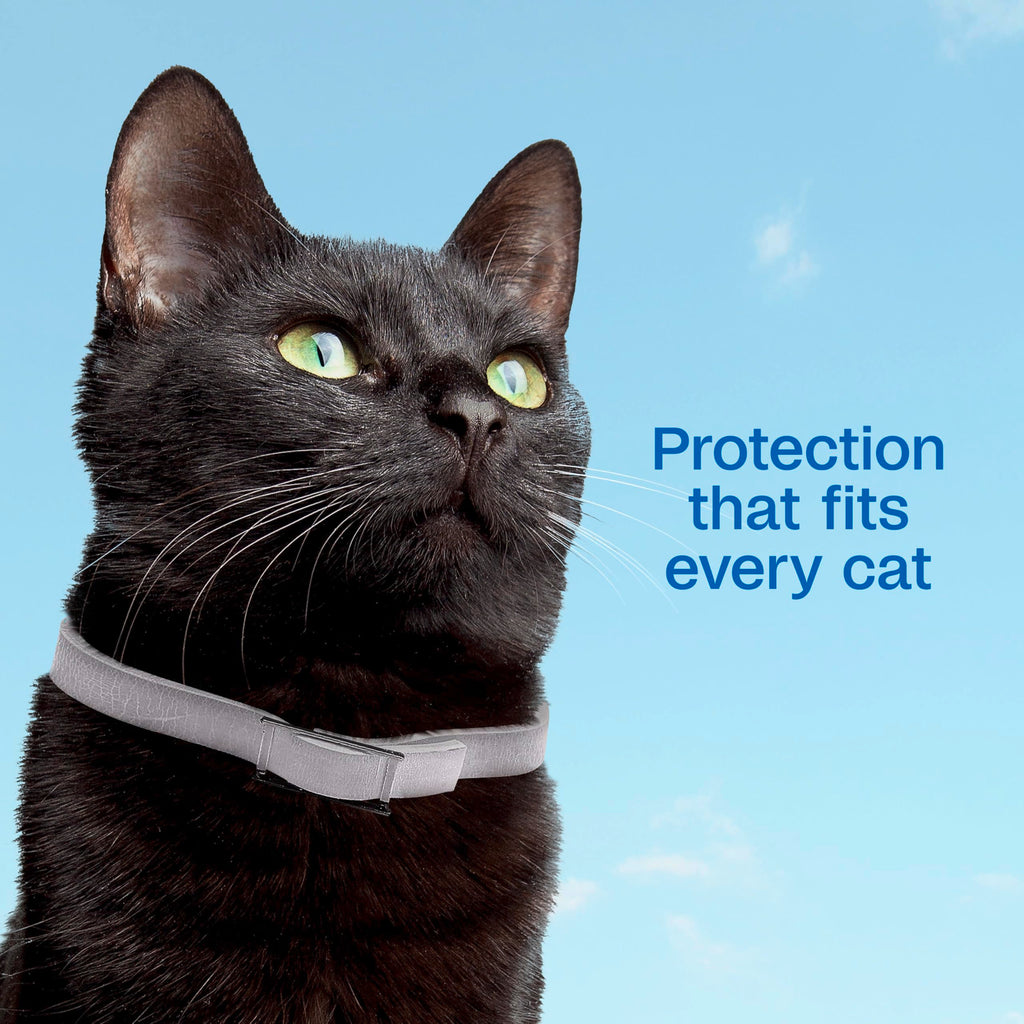 Adjustable Flea & Tick Collar for Cats Y918