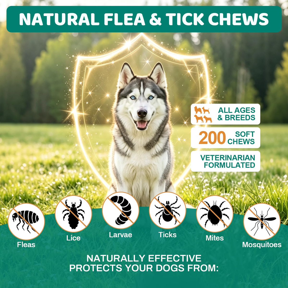Flea and Tick Chews for Dogs T404
