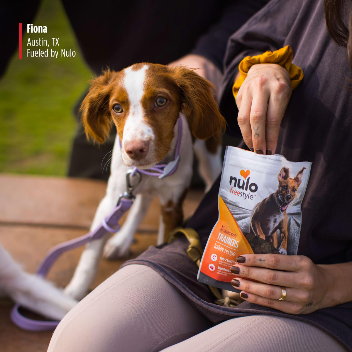 Turkey Recipe Grain-Free Low-Calorie Dog & Puppy Training Treats, 16 Ounce Pouch Q621