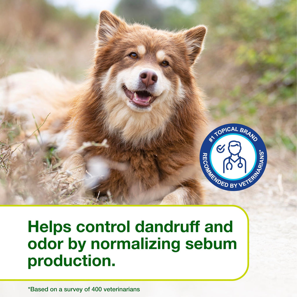 Dog Seboregulating Shampoo 6.7 fl oz N4584