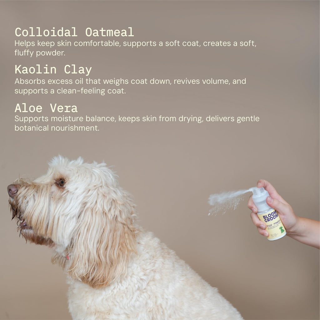 Waterless Dry Shampoo and Detangler for Dogs 1.52 oz H600