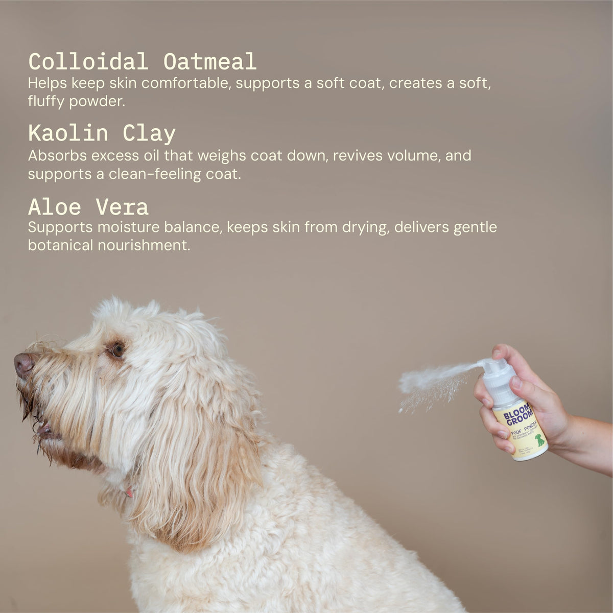 Waterless Dry Shampoo and Detangler for Dogs 1.52 oz H600