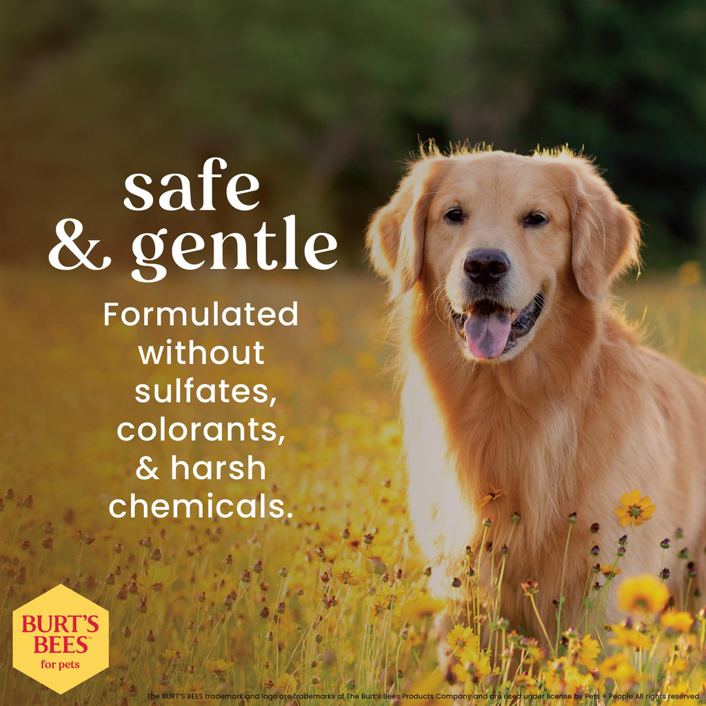 Honeysuckle Dog Shampoo 16 Fl Oz L15756
