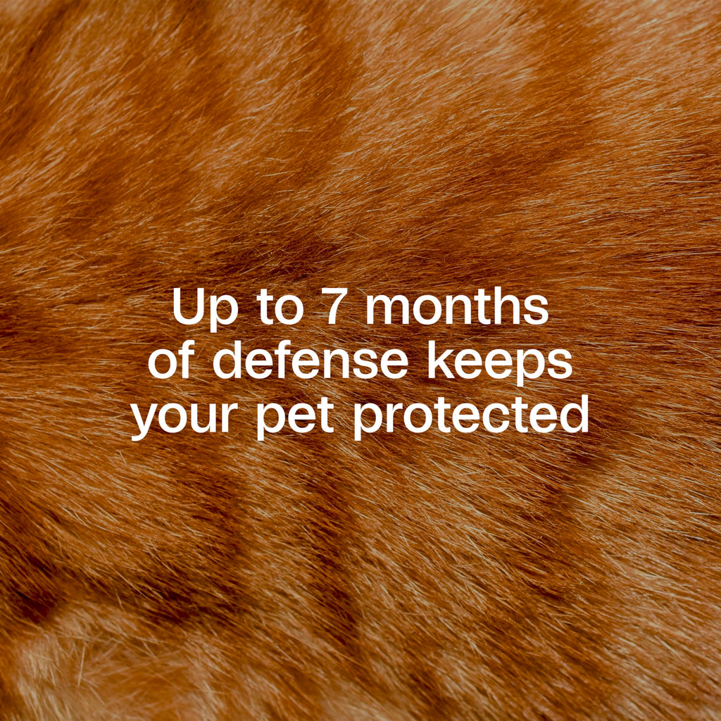 Adjustable Flea & Tick Collar for Cats Y918